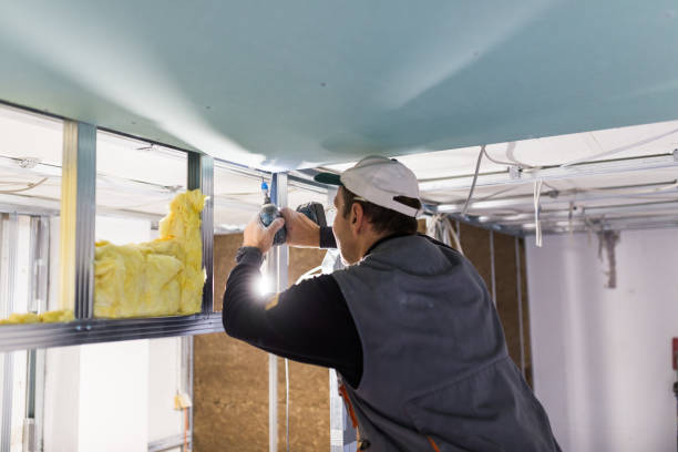Best Insulation Materials and Products in Riverview, DE