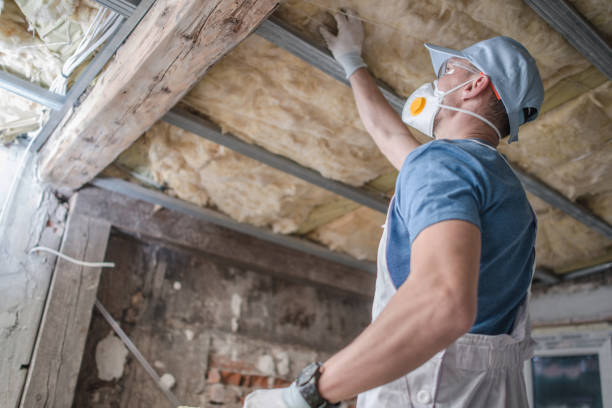Best Insulation Installation Services in Riverview, DE