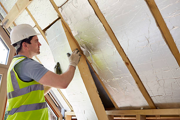 Best Residential Insulation in Riverview, DE